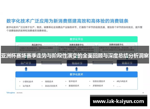 亚洲杯赛场赛季走势与阶段性演变的全面回顾与深度总结分析洞察