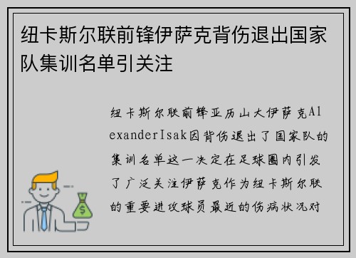 纽卡斯尔联前锋伊萨克背伤退出国家队集训名单引关注 纽卡斯尔联前锋伊萨克背伤退出国家队集训名单引关注